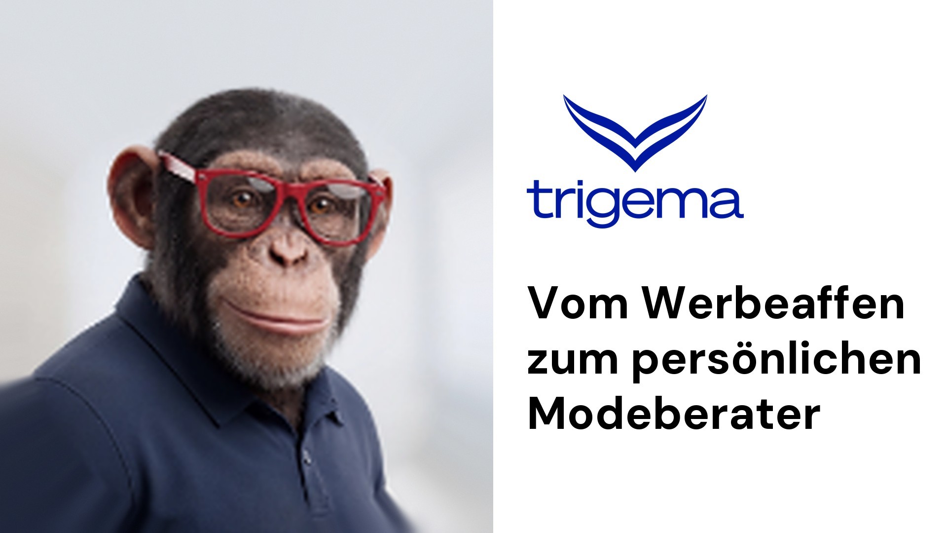 Trigema × homie AI: Charly, der Trigema KI-Berater